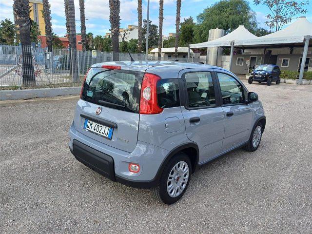 FIAT Panda 3ª serie 1.0 FireFly S&S Hybrid City Life