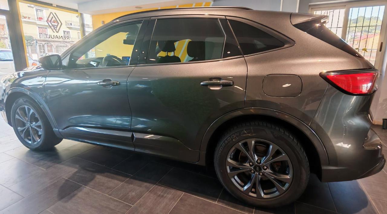 Ford Kuga 1.5 ecoblue ST-LINE 2wd 120cv auto