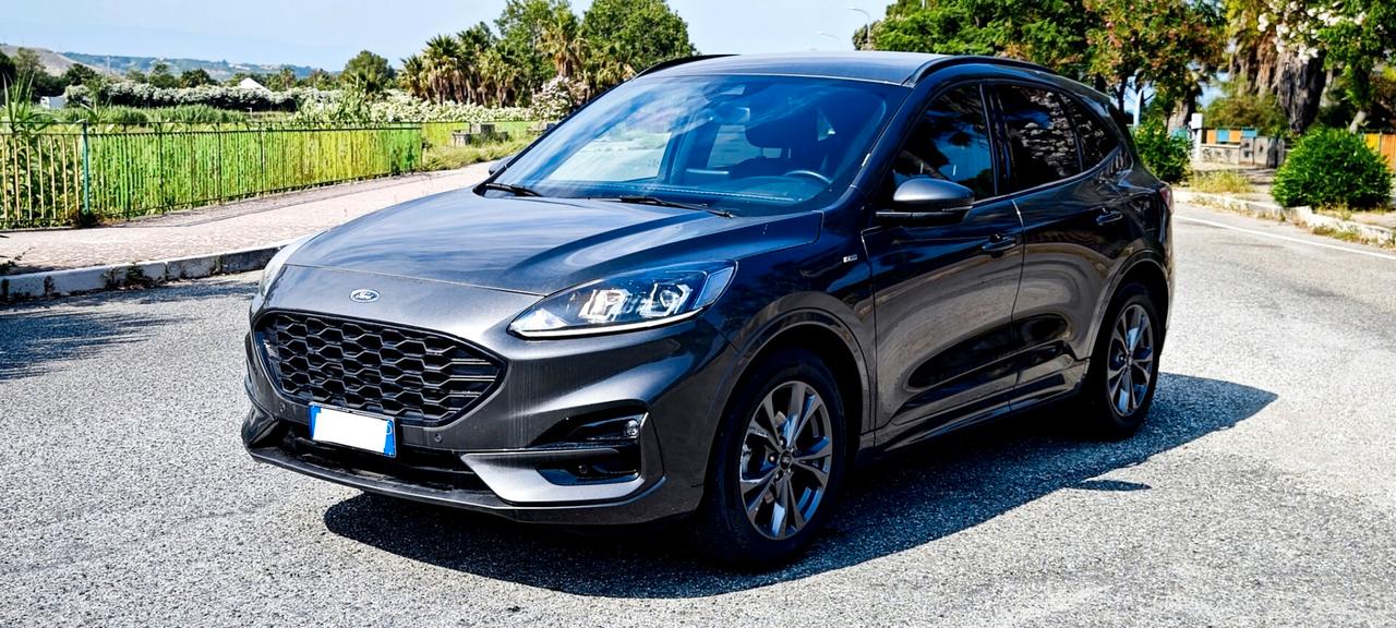 Ford Kuga 2.0 EcoBlue 120 CV aut. 2WD ST-Line