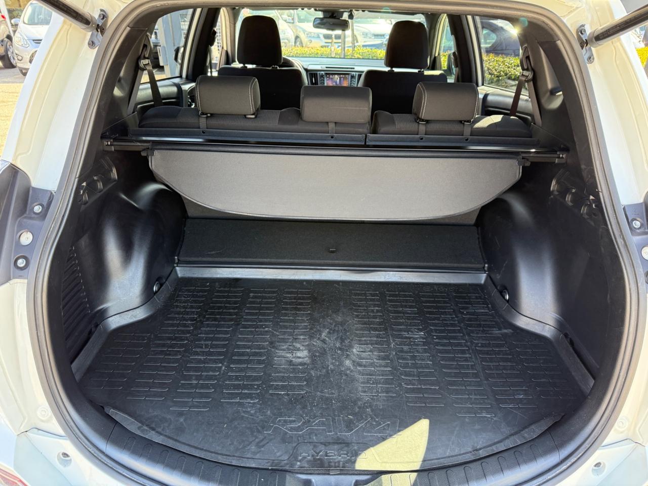 Toyota RAV 4 2.5 Hybrid 2WD 155CV 2018