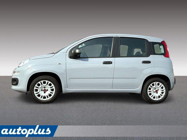 FIAT Panda 1,2 8V Easy