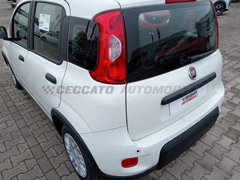 FIAT Panda 1.0 70cv Hybrid Panda