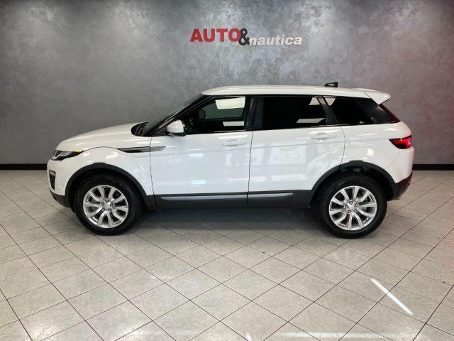 LAND ROVER Range Rover Evoque 2.0 eD4 5p. Business