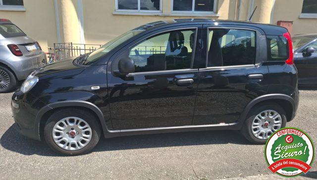 FIAT Panda 1.0 FireFly S&S Hybrid UNICO PROP