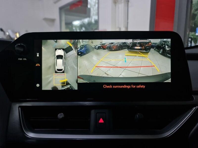 Lexus UX UX 300h 4WD F-Sport