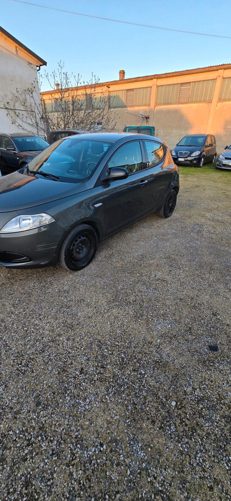 Lancia Ypsilon 1.3 MJT 16V 95 CV 5 porte S&S Elefantino