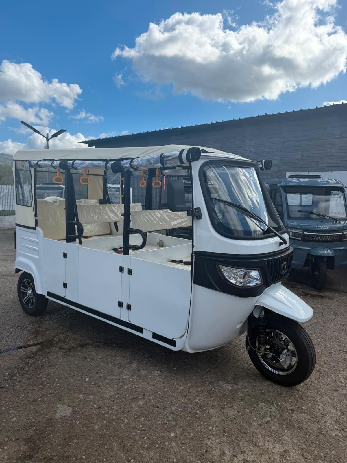 Altro Altro Nuova Ape CALESSINO ELETTRICO MODELLO ITALY 5 posti
