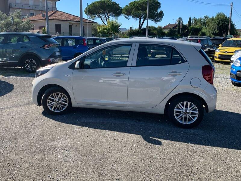 Kia Picanto 1.0 12V 5 porte Urban