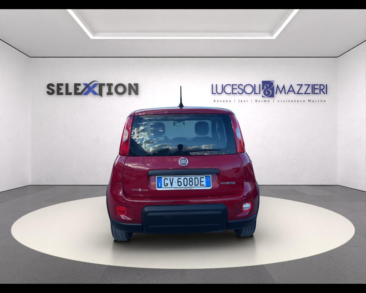 FIAT Panda My24 1.0 70cv Hybrid Panda