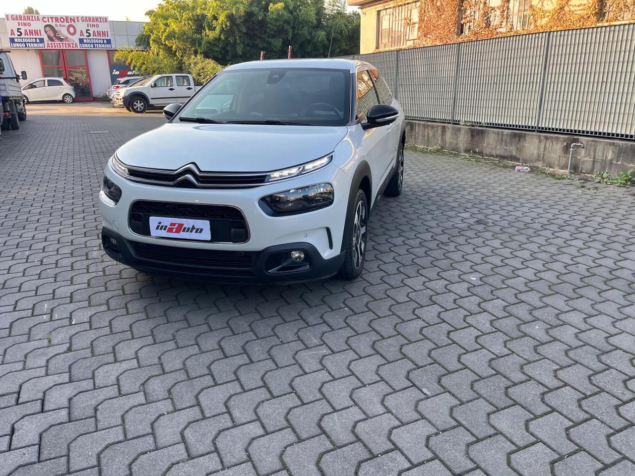 Citroen C4 Cactus 1.6 bluehdi Shine s&s 100cv