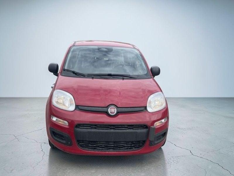 FIAT Panda SOLO PER GENNAIO ANCHE SENZA ROTTAMAZIONE