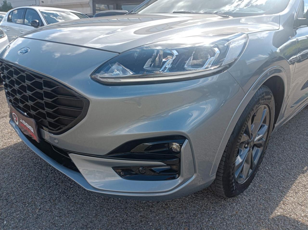 Ford Kuga 1.5 EcoBlue 120 CV aut. 2WD ST-Line X