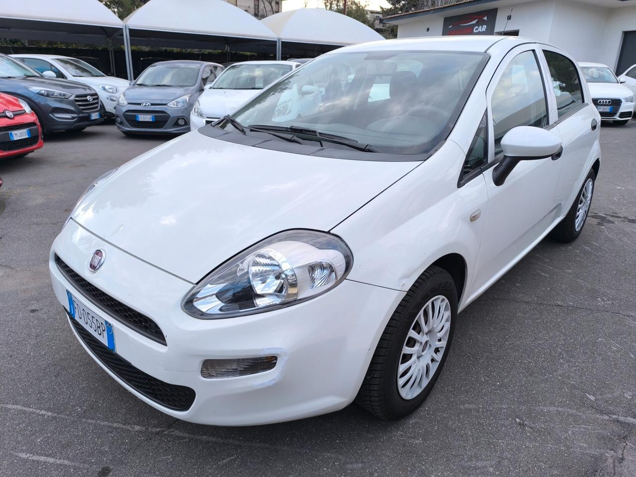 Fiat Punto 1.2 8V 5 porte Young