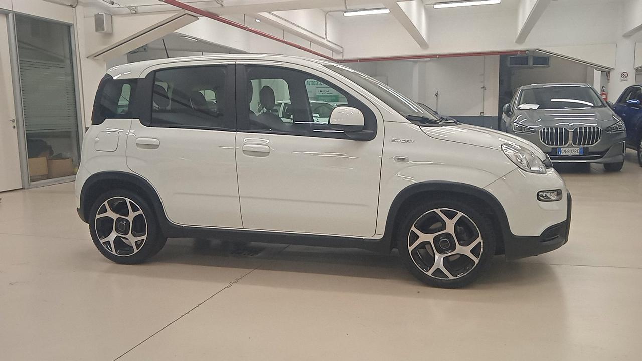 FIAT Panda III 2021 - Panda 1.0 firefly hybrid Sport s&s 70cv