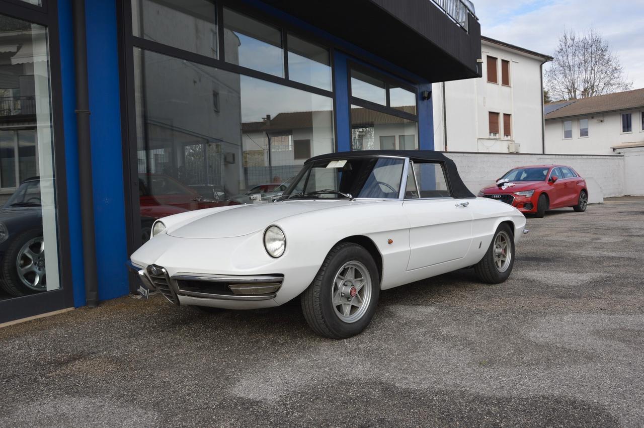 Duetto Osso Di Seppia 1.6