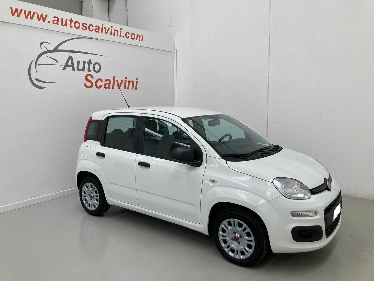 Fiat Panda 1.2 Easy 69CV 5 POSTI#NEOPATENTATI