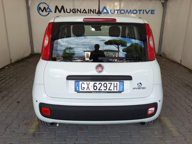 FIAT Panda 1.0 FireFly 70cv Hybrid *solo 2.000 Km*