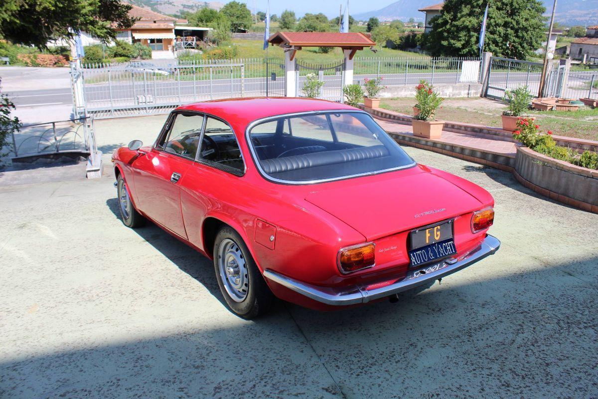 ALFA ROMEO - Junior