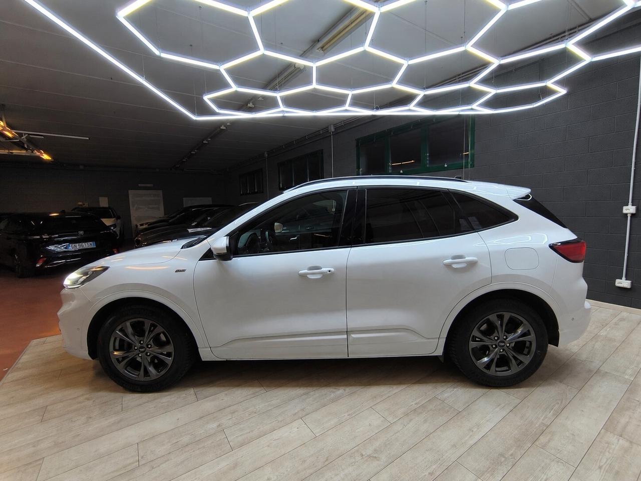 Ford Kuga 2.0 EcoBlue 190 CV aut. AWD ST-Line X