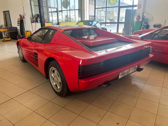 FERRARI Testarossa cat