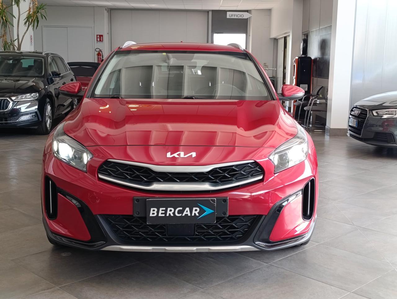 Kia Xceed 1.6 crdi mhev Business 136cv dct