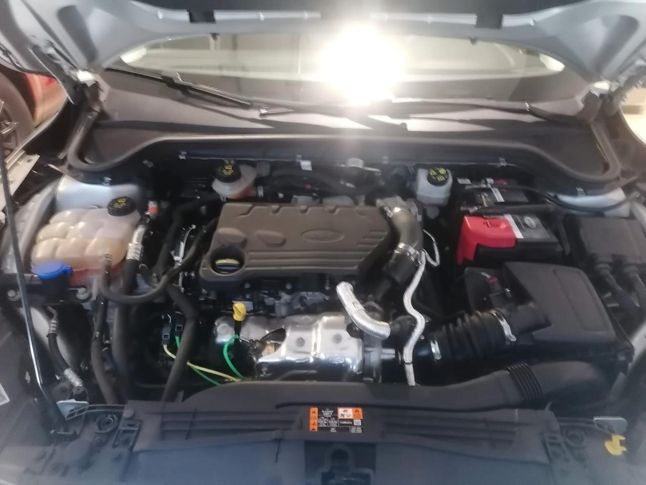 Ford Focus 1.5 EcoBlue 120 CV automatico SW Business