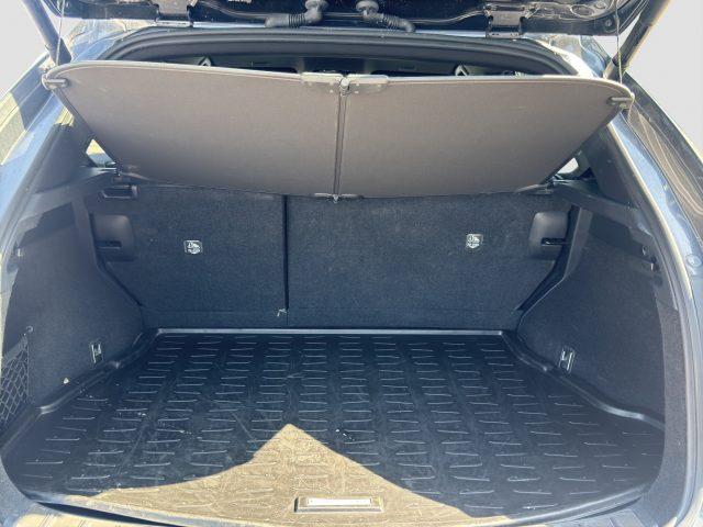 LEXUS Other NX NX Hybrid 4WD F-Sport