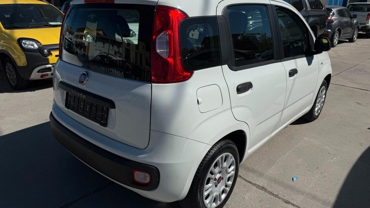 Fiat Panda 1.2 Easy