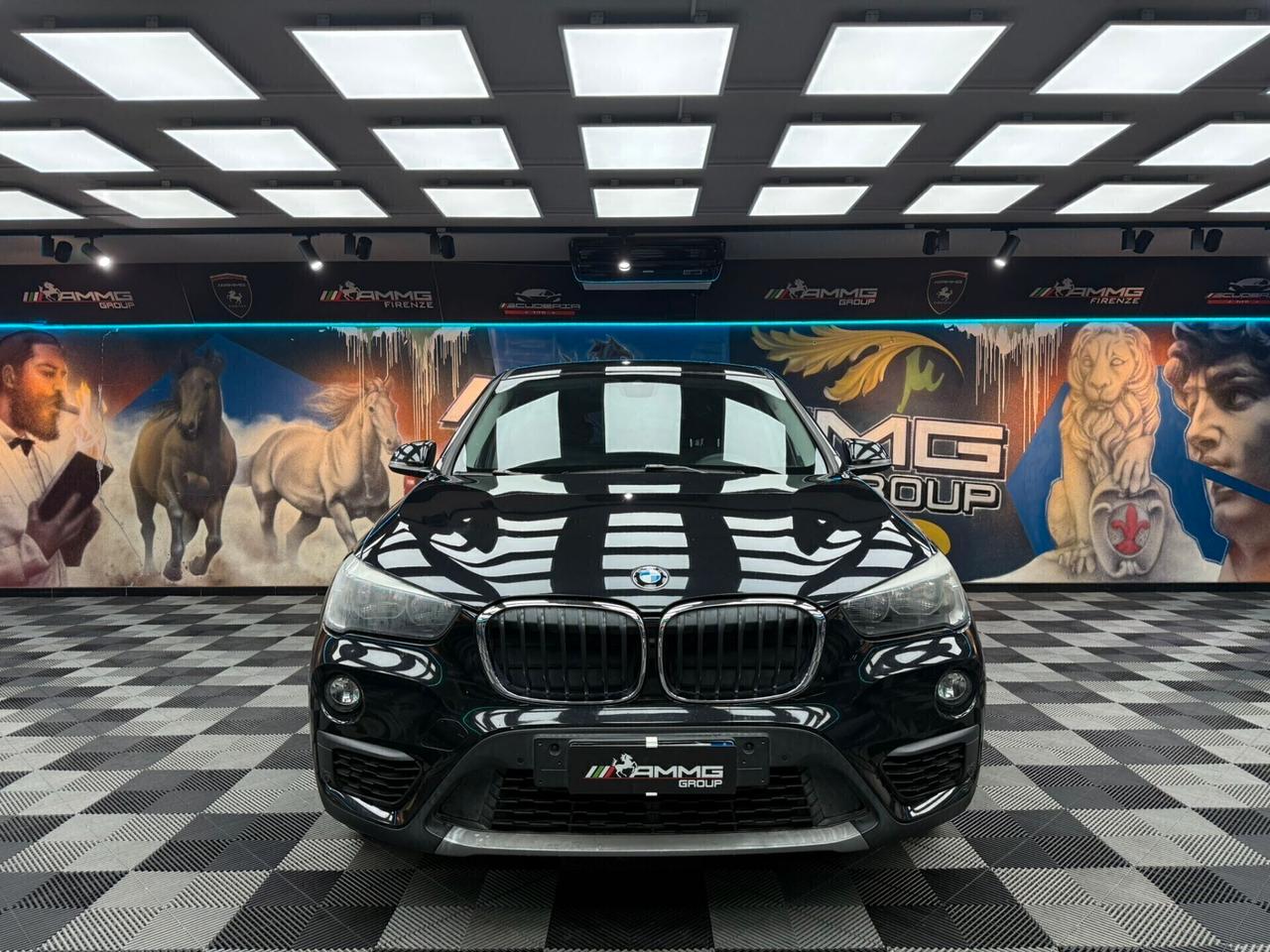 Bmw X1 sDrive18d BUSINESS(489)