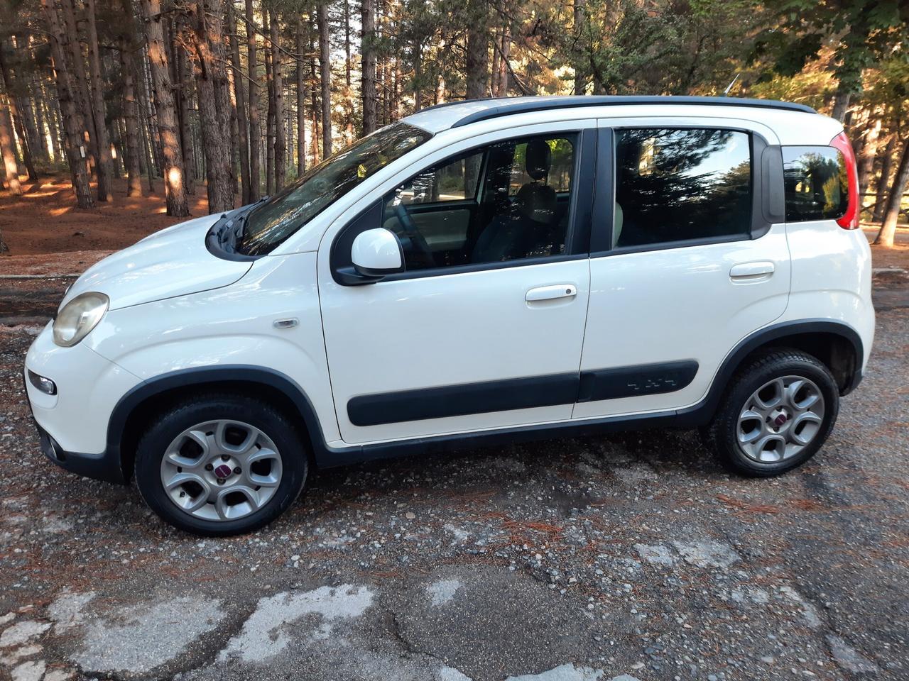 Fiat Panda 4X4 M.JET 75 CV ANTARTICA