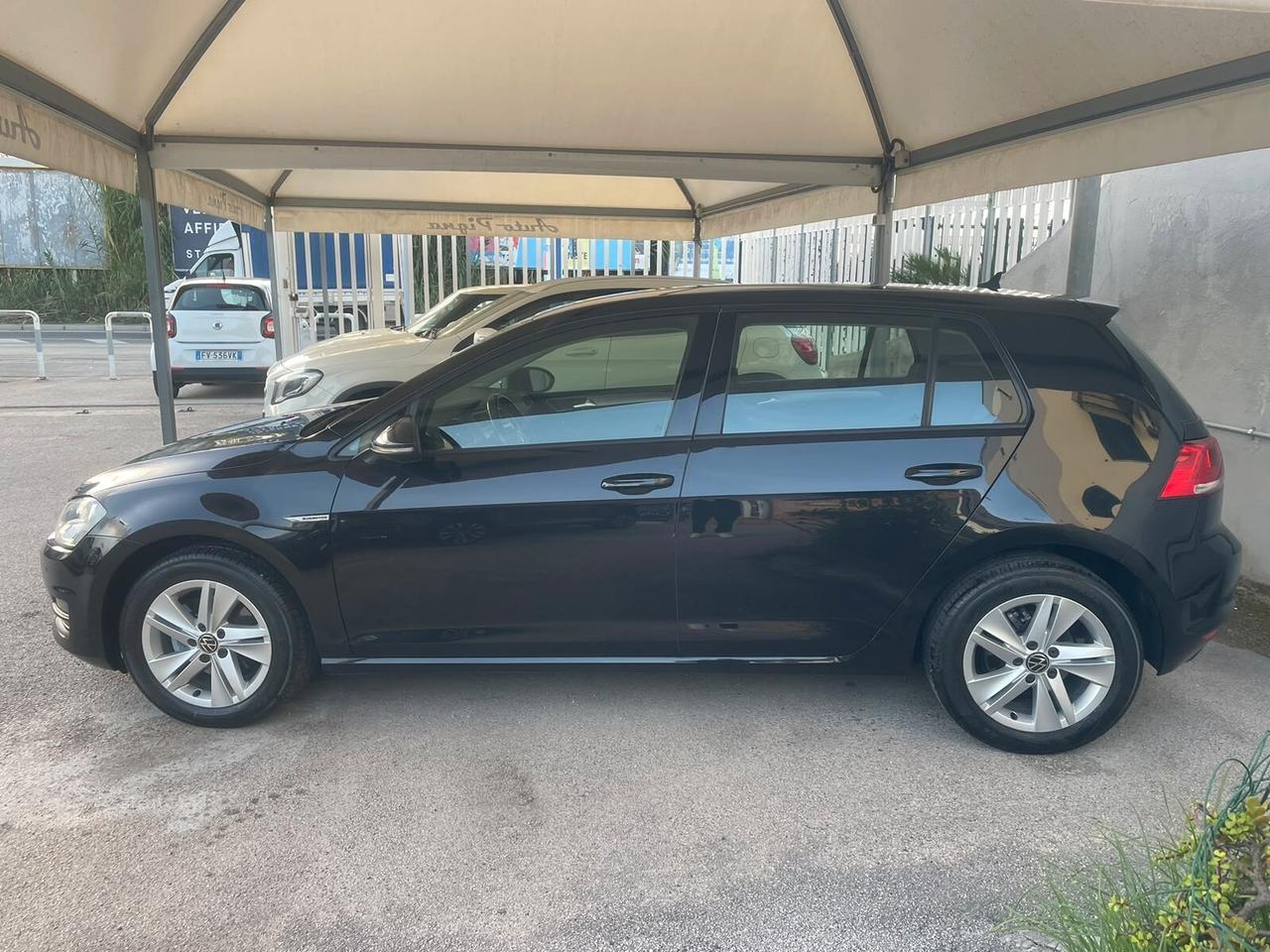 Volkswagen Golf 1.4 TGI 5p. Executive BlueMotion