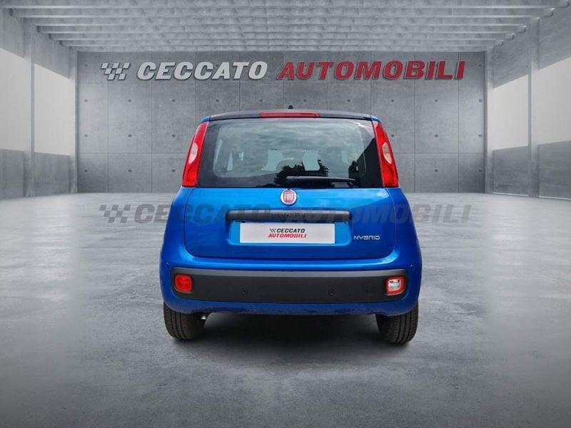 FIAT Panda Panda 1.0 firefly hybrid s&s 70cv