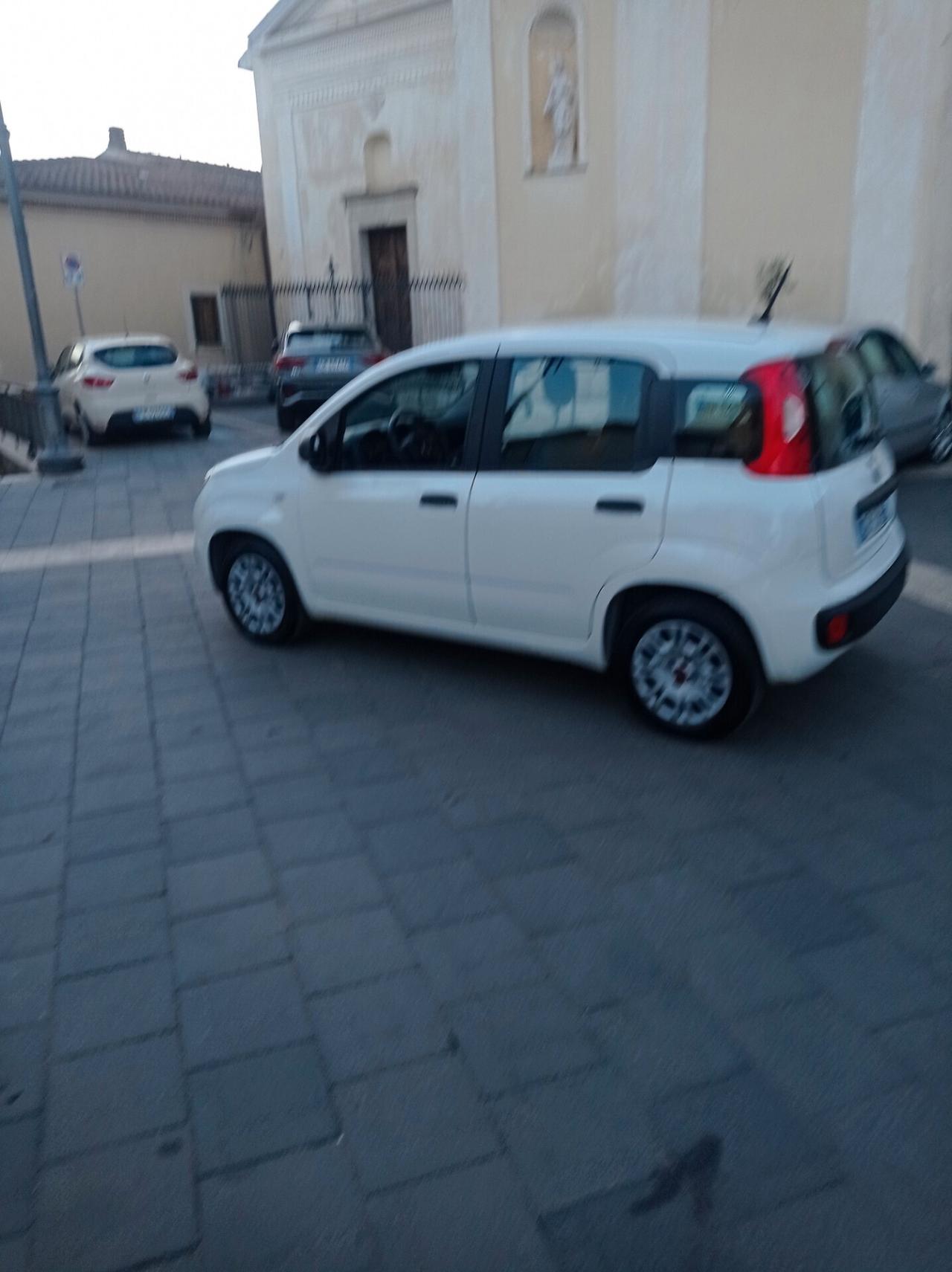 Fiat Panda 1.2 Easy 2020