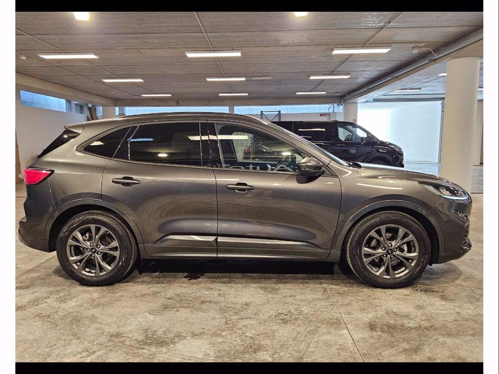 FORD Kuga 2.0 ecoblue st-line 2wd 120cv auto del 2024