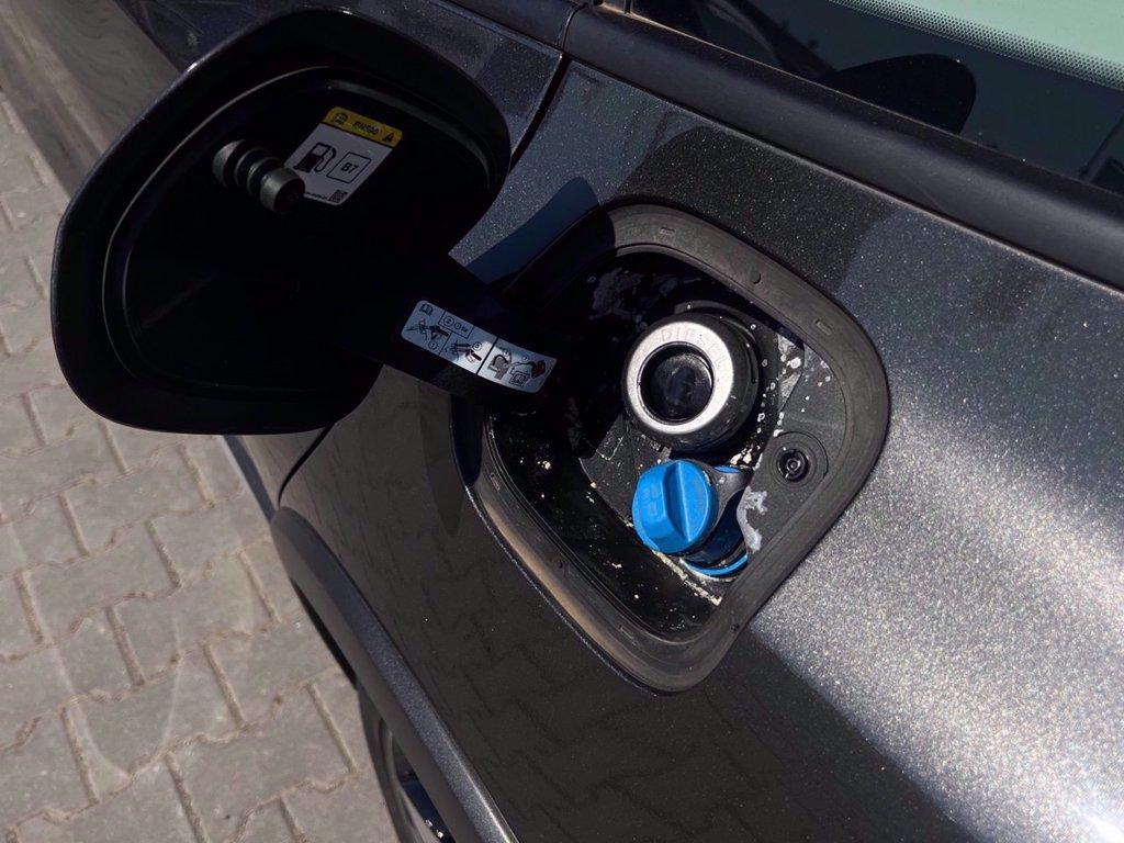 FORD Focus Active SW 1.5 ecoblue Design 120cv auto del 2022