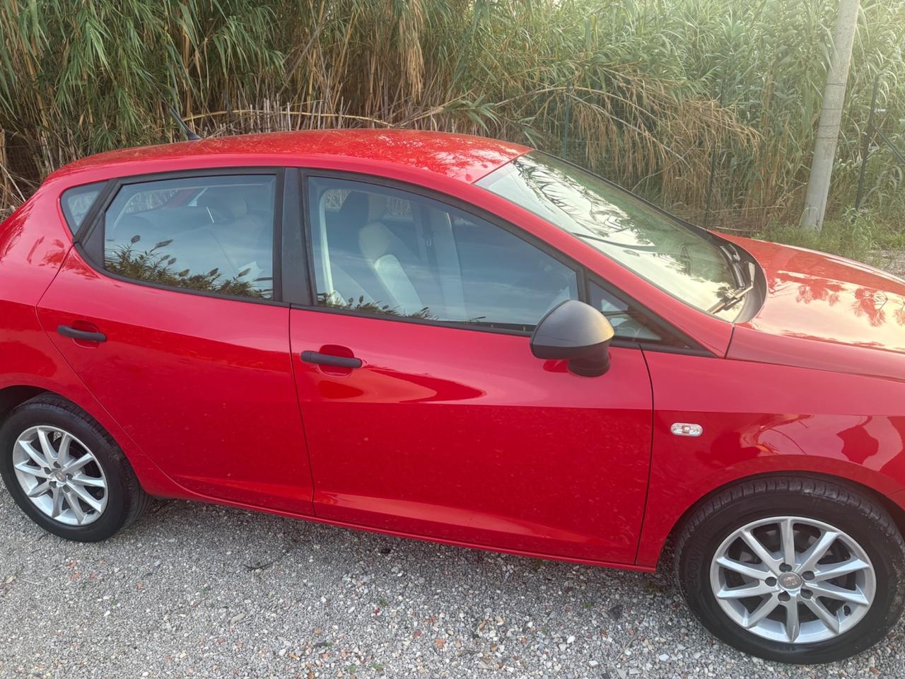 Seat Ibiza 1.2 TDI CR 5 porte Style