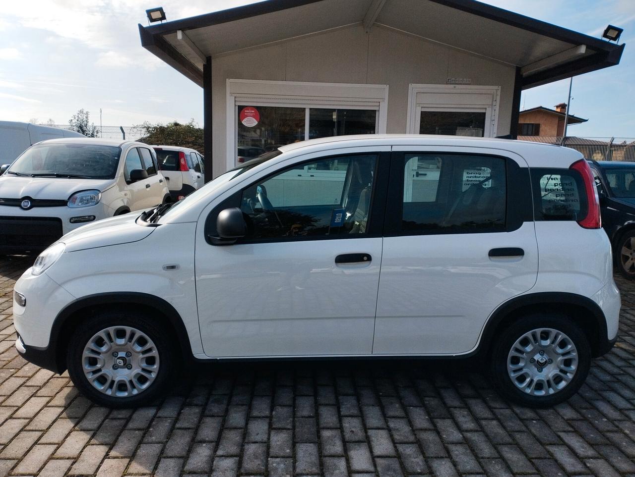 Fiat Panda 1.0 FireFly S&S Hybrid