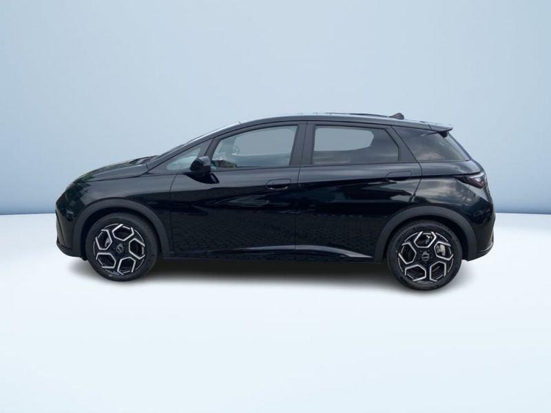 BYD DOLPHIN Design
