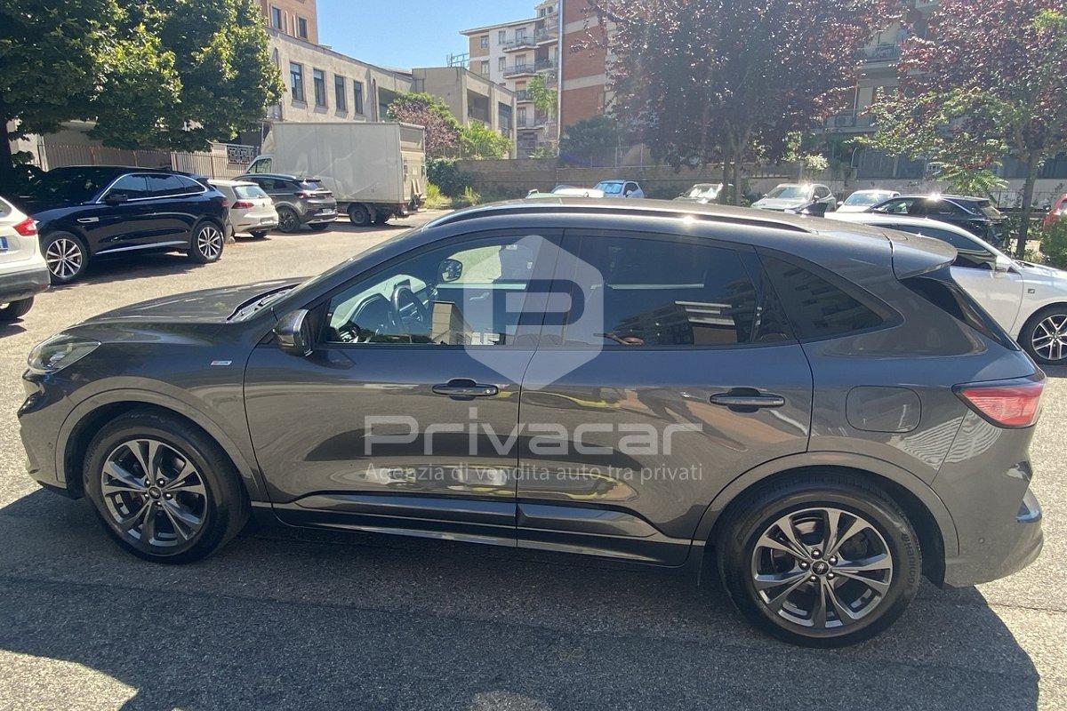 FORD Kuga 1.5 EcoBlue 120 CV aut. 2WD ST-Line X