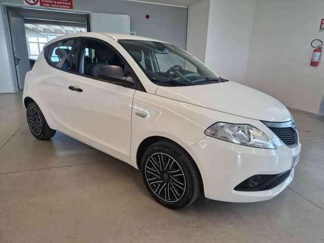 LANCIA Ypsilon 1.2 69 CV 5 porte GPL Ecochic Elefantino Blu