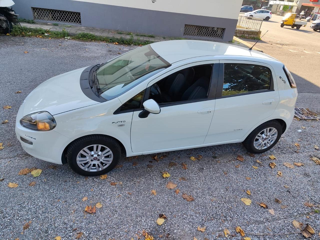 Fiat Punto 1.3 MJT Neopatentati 5 porte - 2014