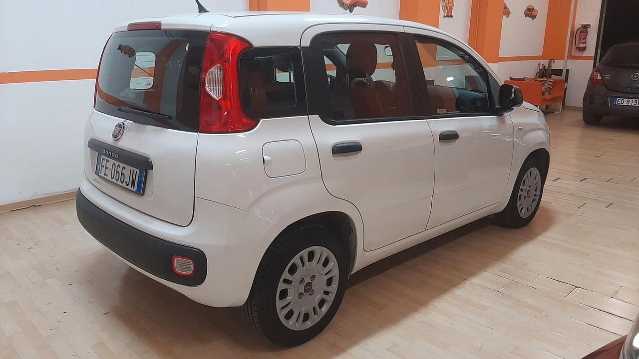 Fiat Panda 1.2 BENZINA FIRE EURO 6 NEOPATENTATI