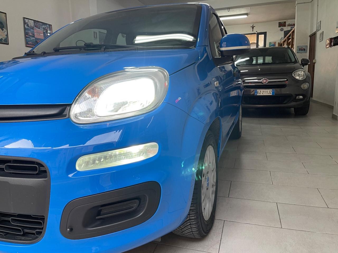 Fiat Panda 1.2 Benzina 69 CV Pandazzurri