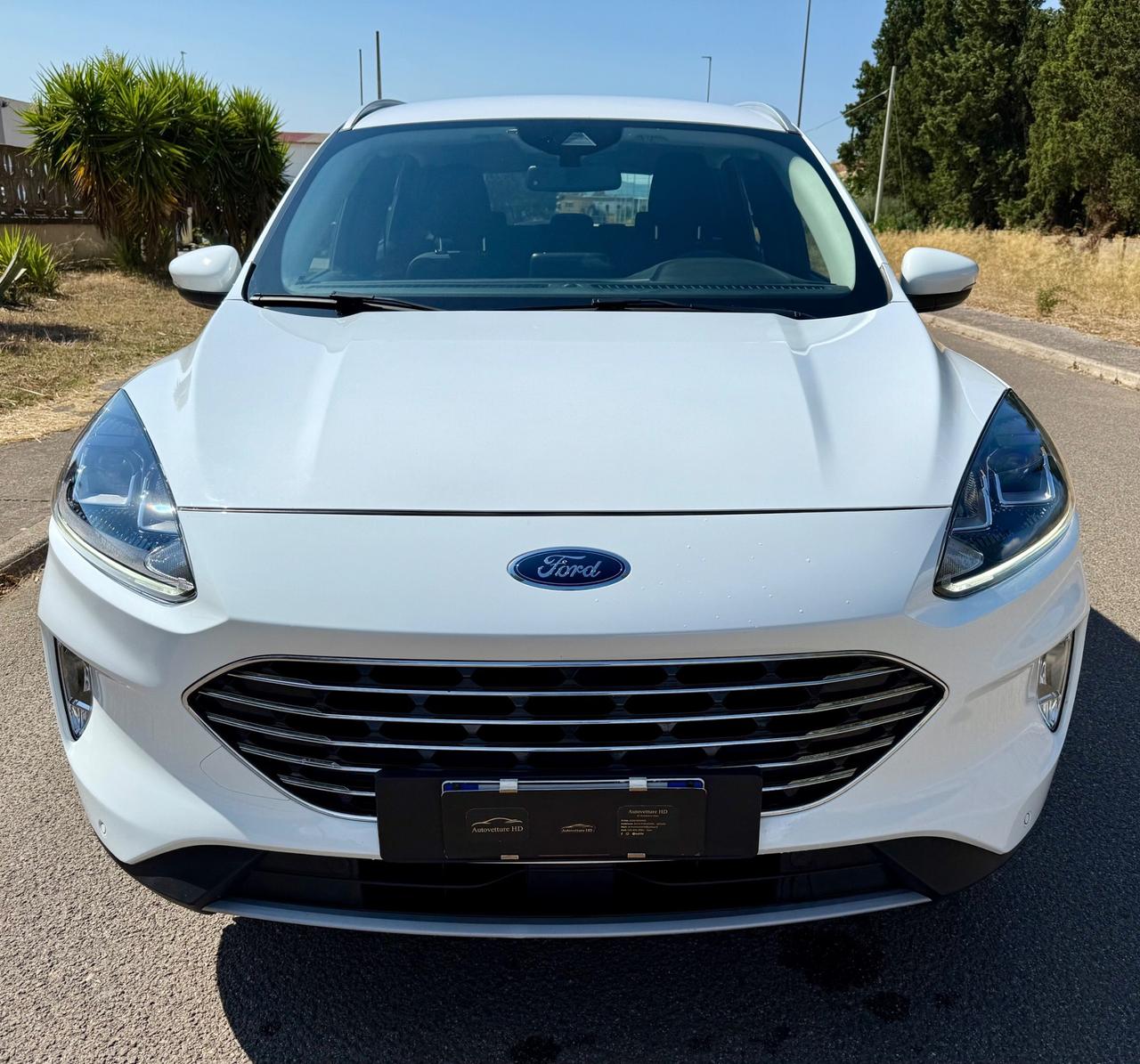 Ford Kuga 1.5 EcoBlue 120 CV aut. 2WD Titanium Business