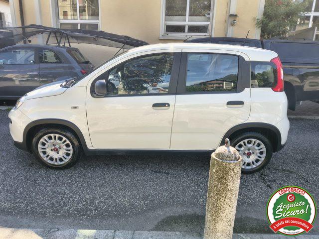 FIAT Panda 1.0 FireFly S&S Hybrid UNICO PROPRIETARIO