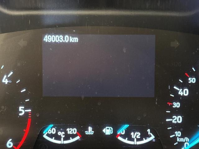 FORD Focus 1.5 EcoBlue 120 CV SW Business