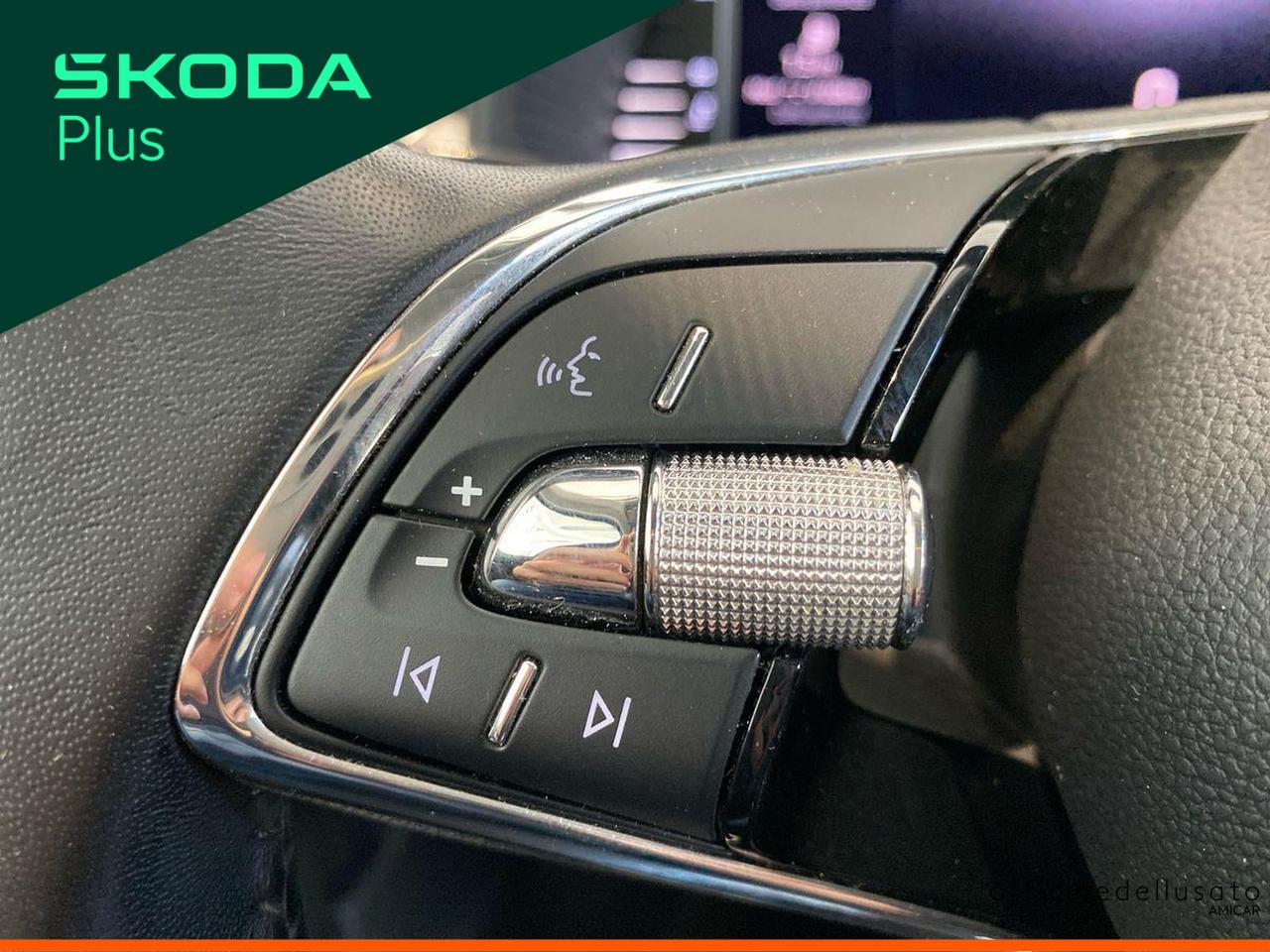 Skoda Kamiq 1.0 tsi 95cv style