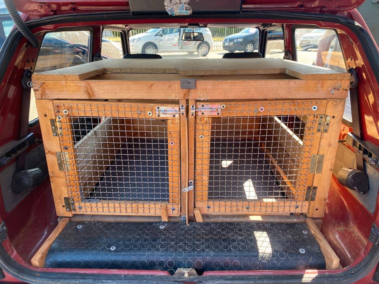 Fiat Panda 1100 i.e. cat Young