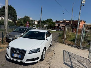 Audi A3 1.6 TDI 90 CV CR F.AP. Attraction NEOPATENTATI