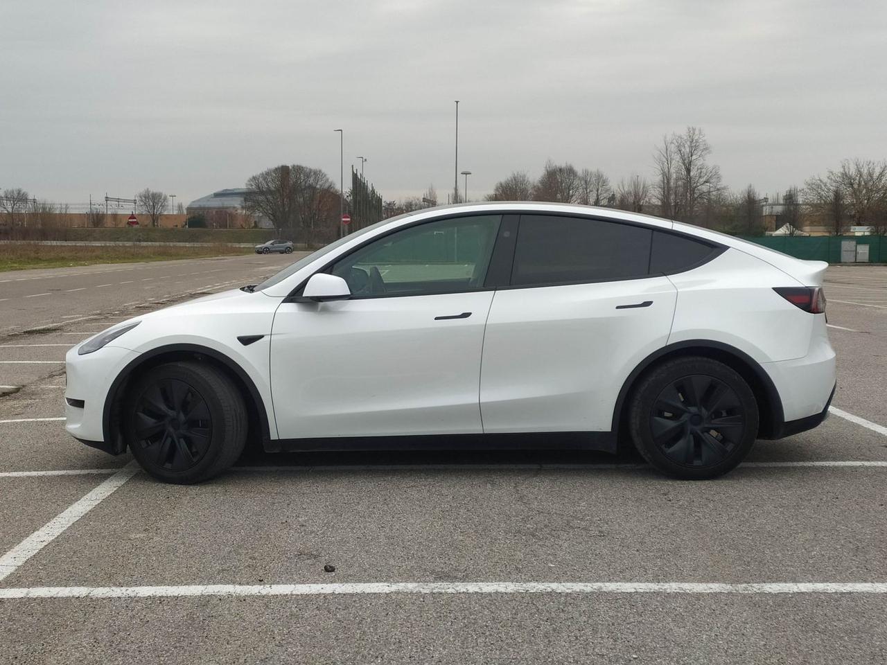 Tesla Model Y Standard Range / Standard #9113